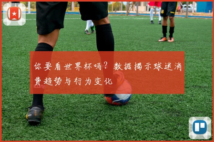你要看世界杯吗？数据揭示球迷消费趋势与行为变化