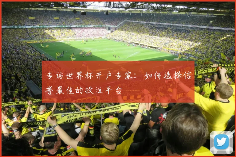专访世界杯开户专家：如何选择信誉最佳的投注平台