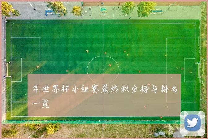 年世界杯小组赛最终积分榜与排名一览