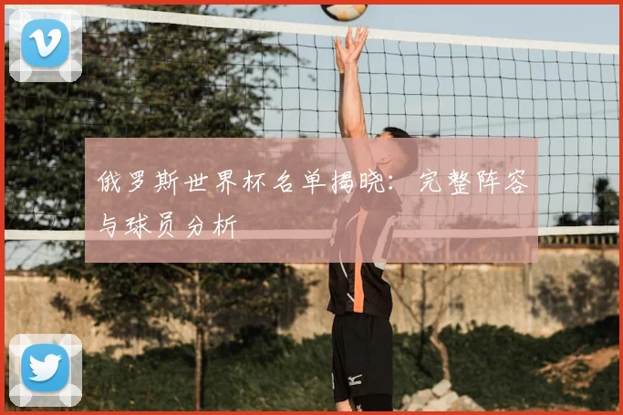 俄罗斯世界杯名单揭晓:完整阵容与球员分析