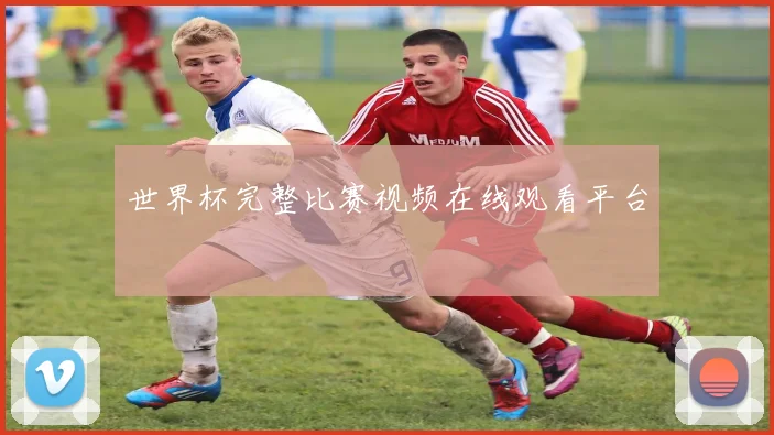 世界杯完整比赛视频在线观看平台