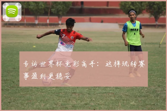 专访世界杯竞彩高手：这样玩转赛事盈利更稳妥