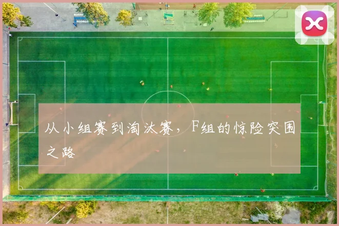 从小组赛到淘汰赛，F组的惊险突围之路