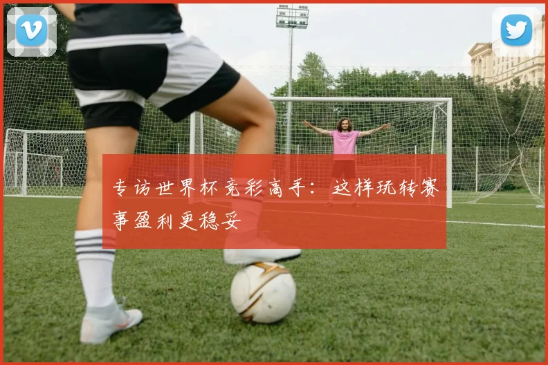 专访世界杯竞彩高手：这样玩转赛事盈利更稳妥