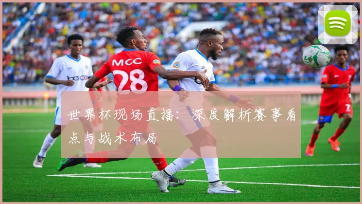 世界杯现场直播：深度解析赛事看点与战术布局