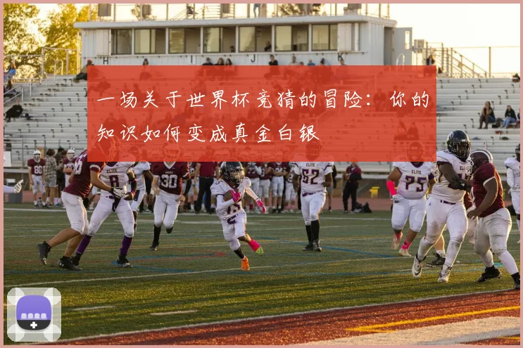 一场关于世界杯竞猜的冒险：你的知识如何变成真金白银